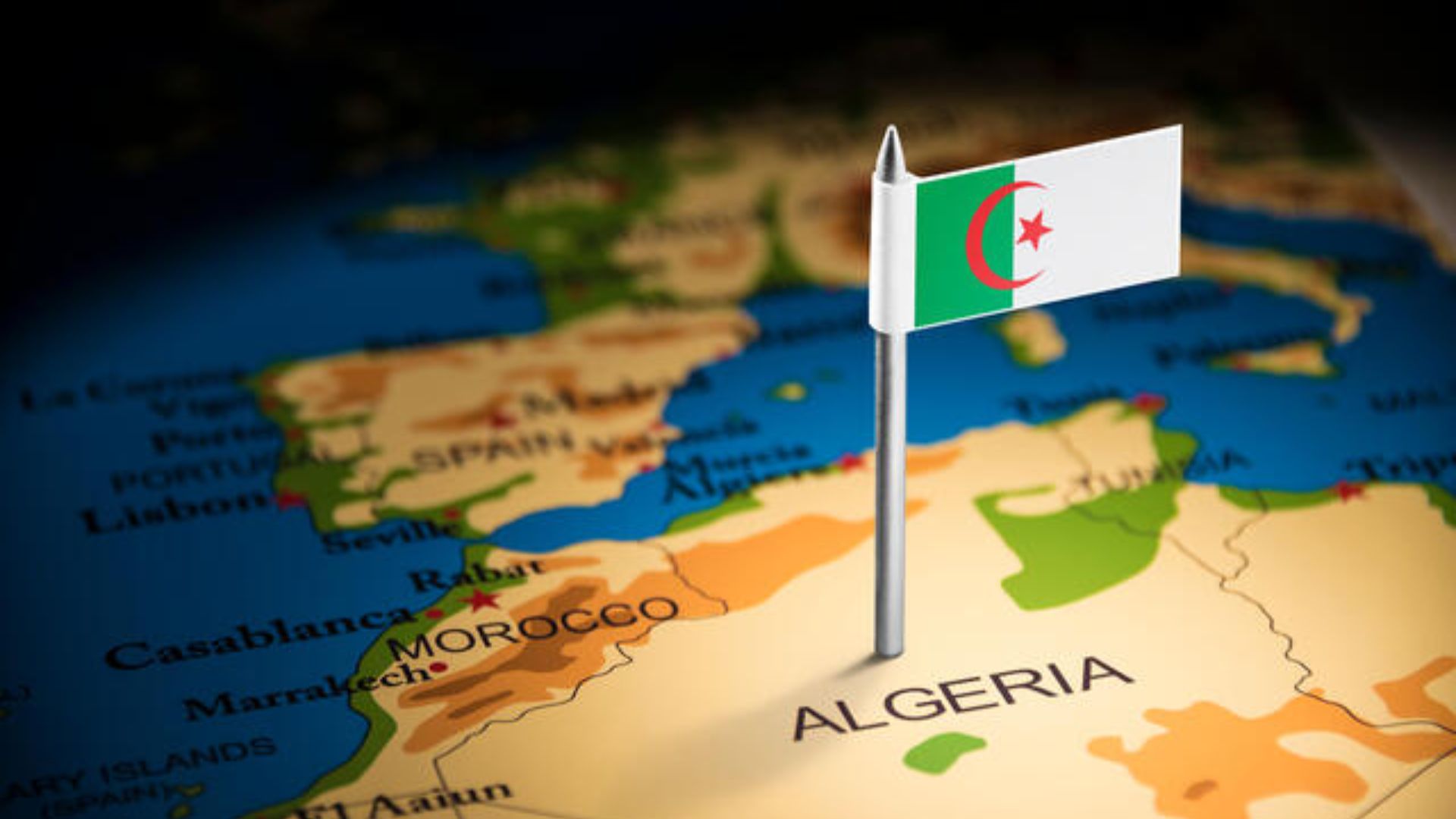 India Algeria Business and Cultural Council - Culture of Algeria in Algeria Economy